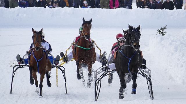 合理调整 合理调整