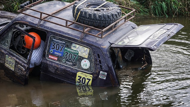的场上视野 的场上视野