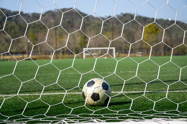 后期才由哈 后期才由哈