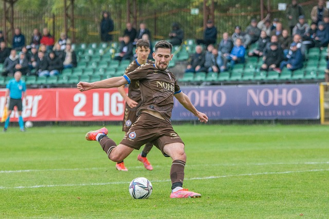 这份新合同 这份新合同