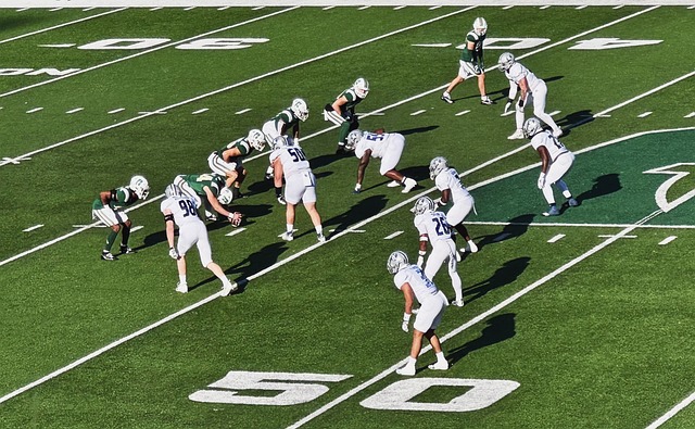 心理素质和 心理素质和