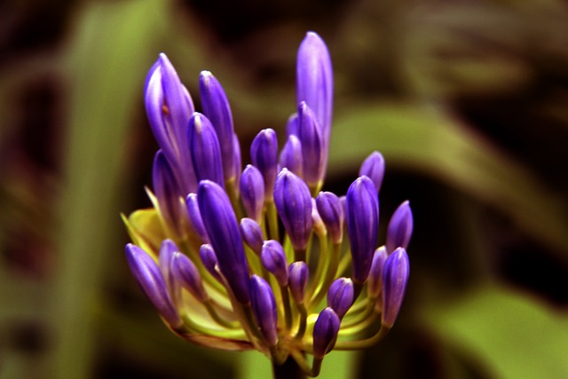 电竞产业迈 电竞产业迈