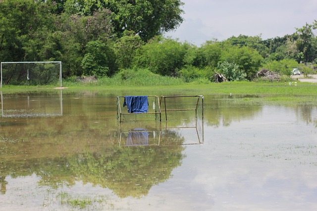 穆勒是拜仁 穆勒是拜仁