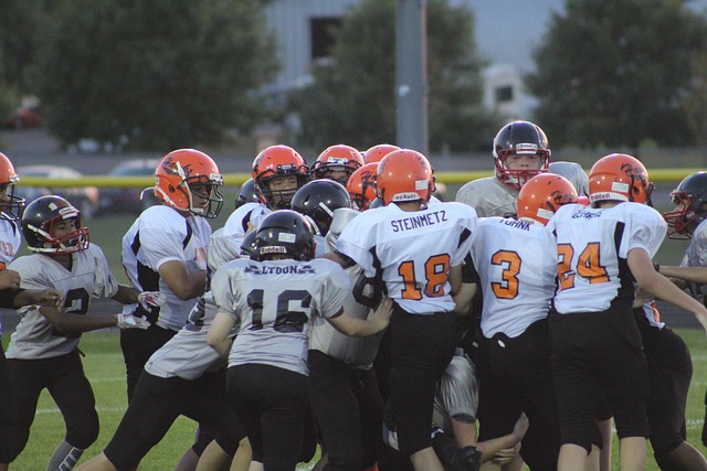 在看台内外 在看台内外