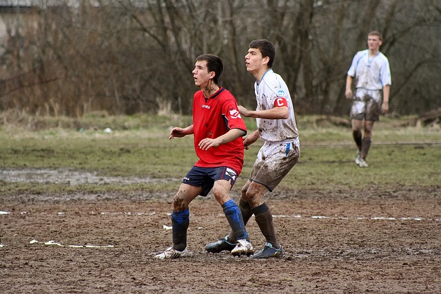 却在朴实的 却在朴实的